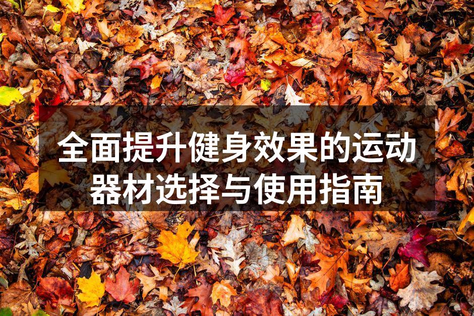 全面提升健身效果的运动器材选择与使用指南