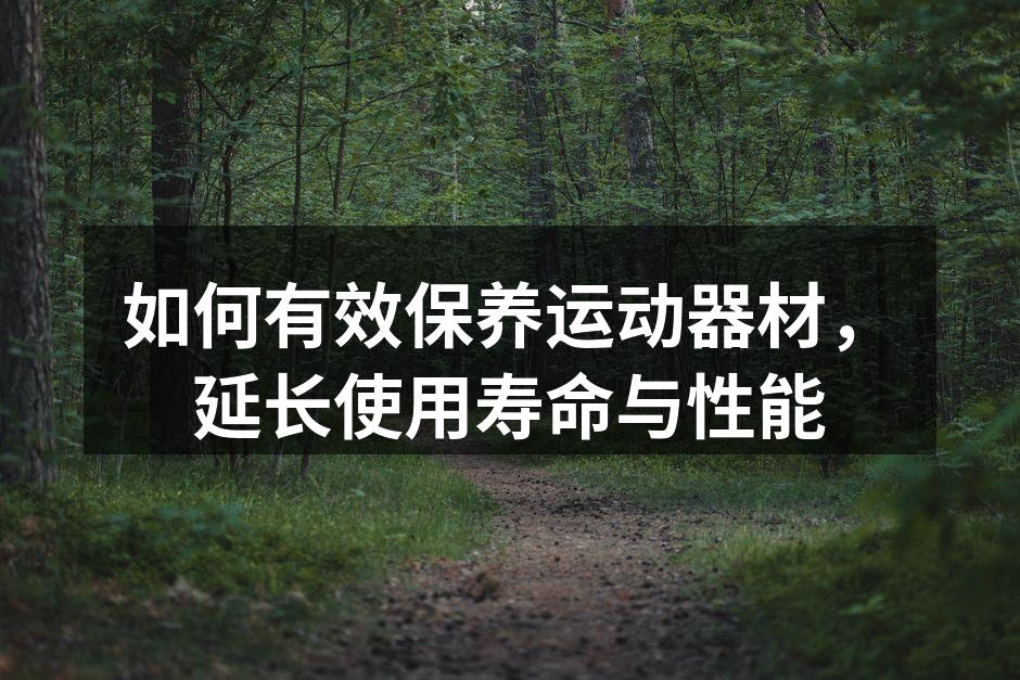 如何有效保养运动器材，延长使用寿命与性能