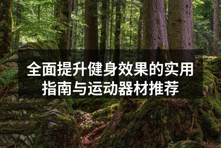 全面提升健身效果的实用指南与运动器材推荐
